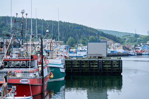 Eau,Marina,Été,Saison,MRC Côte-de-Gaspé,Région,Rivière-au-Renard,Jour,Temps